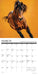What Horses Teach Us 2026 Mini Wall Calendar