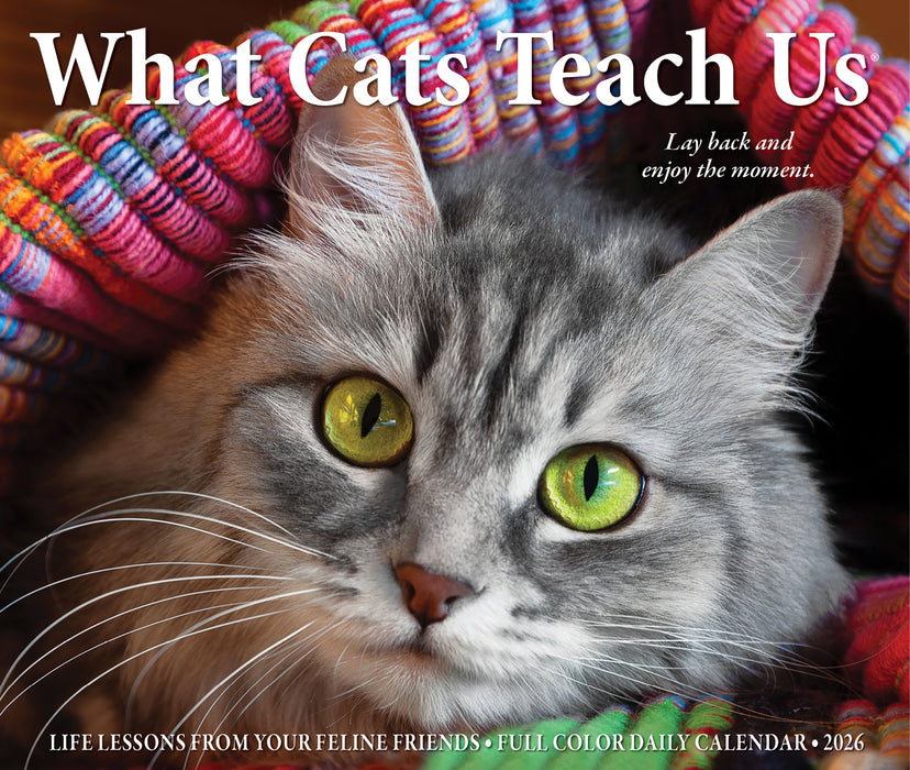 What Cats Teach Us 2026 Page-A-Day Calendar