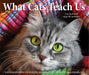 What Cats Teach Us 2026 Page-A-Day Calendar