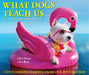 What Dogs Teach Us 2026 Page-A-Day Calendar