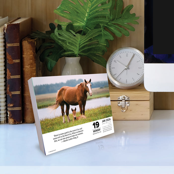 What Horses Teach Us 2026 Page-A-Day Calendar