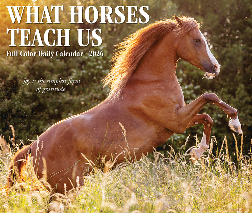 What Horses Teach Us 2026 Page-A-Day Calendar
