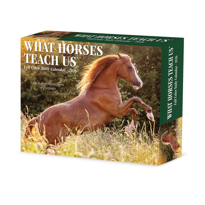 What Horses Teach Us 2026 Page-A-Day Calendar