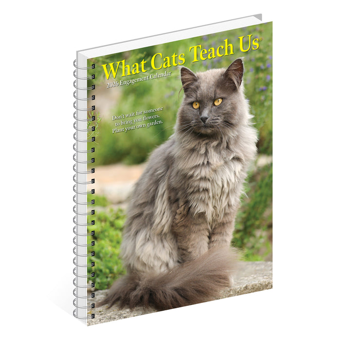 What Cats Teach Us 2026 Weekly Diary