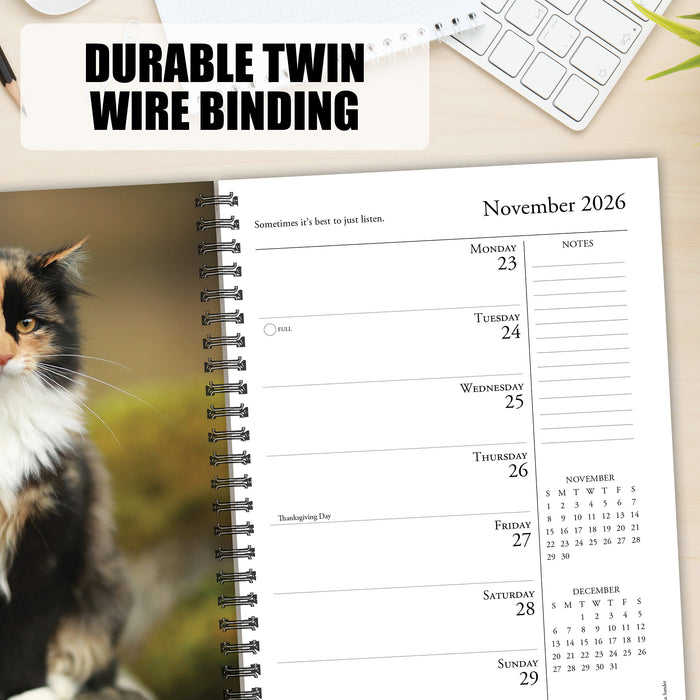 What Cats Teach Us 2026 Weekly Diary