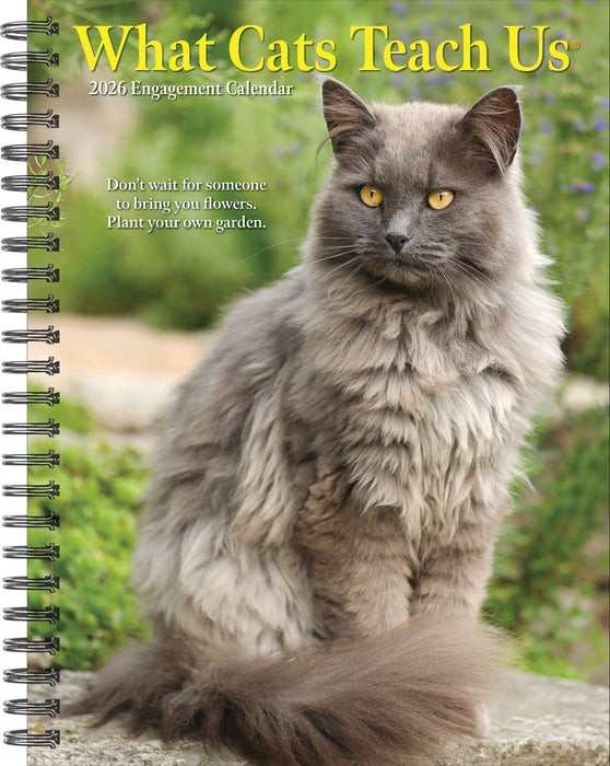 What Cats Teach Us 2026 Weekly Diary