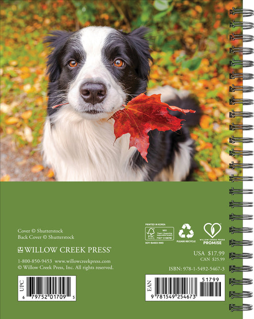 What Dogs Teach Us 2026 Weekly Diary