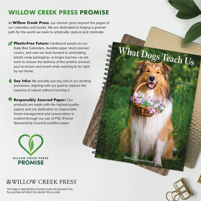 What Dogs Teach Us 2026 Weekly Diary