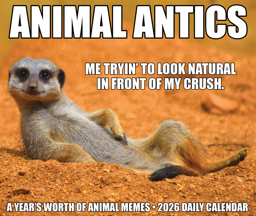 Animal Antics 2026 Page-A-Day Calendar