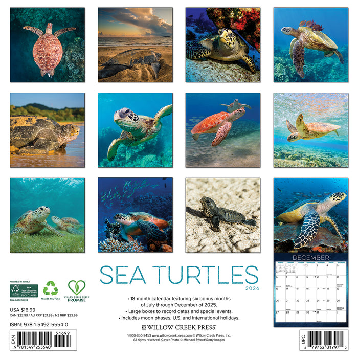 Sea Turtles 2026 Square Wall Calendar