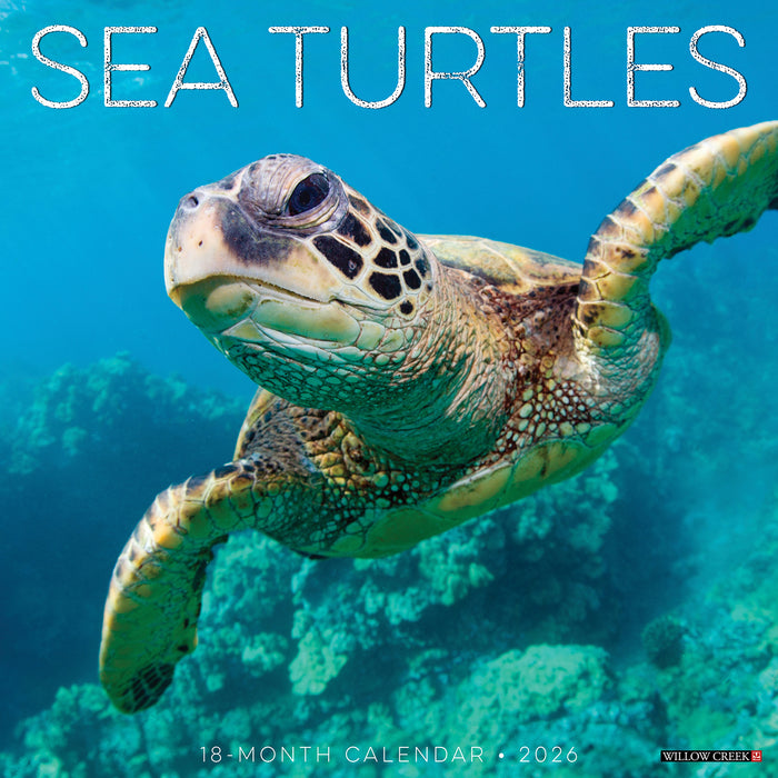 Sea Turtles 2026 Square Wall Calendar