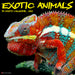 Exotic Animals 2026 Square Wall Calendar