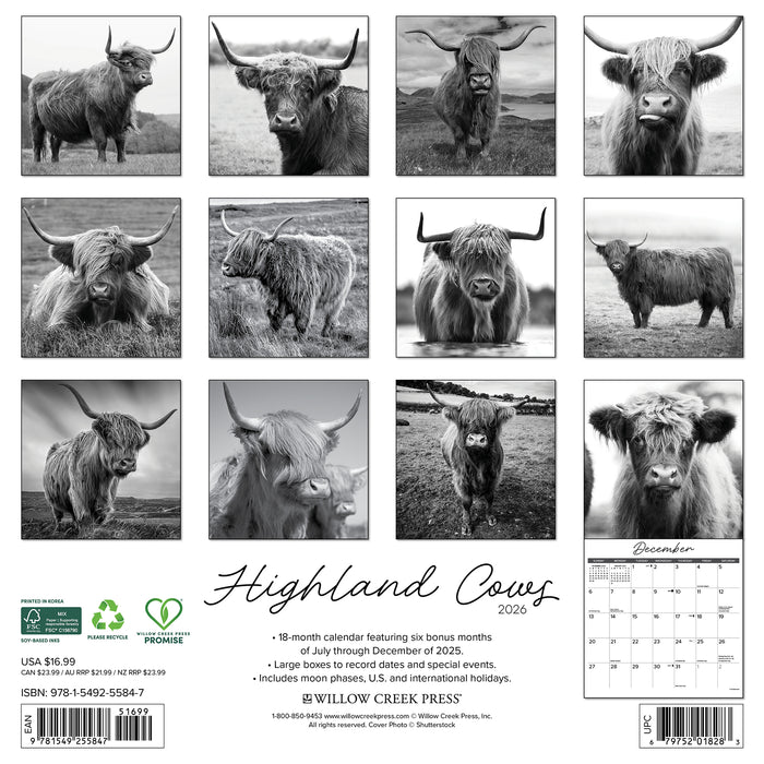 Highland Cows Black and White Print 2026 Square Wall Calendar