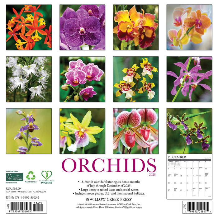 Orchids 2026 Square Wall Calendar