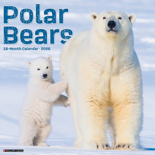 Polar Bears 2026 Square Wall Calendar