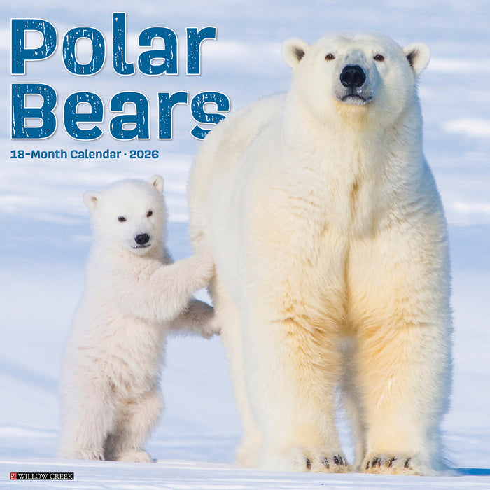 Polar Bears 2026 Square Wall Calendar
