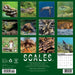 Scales 2026 Square Wall Calendar