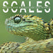 Scales 2026 Square Wall Calendar