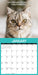 Cattitudes 2026 Square Wall Calendar