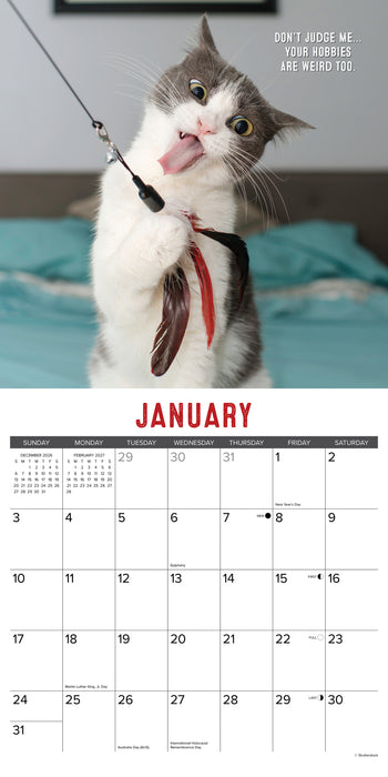Bad Kitties 2027 Square Wall Calendar
