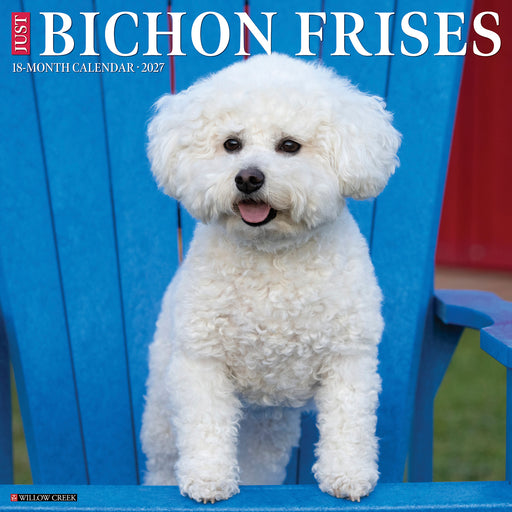 Bichons Frises Just 2027 Square Wall Calendar