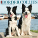 Border Collies 2027 Square Wall Calendar