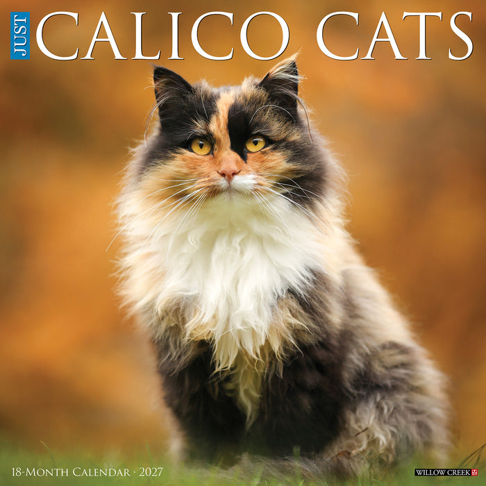 Calico Cats 2027 Square Wall Calendar