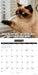 Catastrophe 2027 Square Wall Calendar
