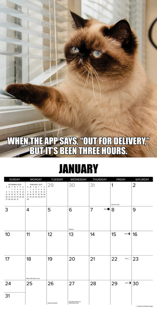 Catastrophe 2027 Square Wall Calendar