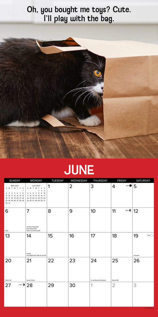 Cattitudes 2027 Square Wall Calendar