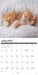 Kittens 2027 Square Wall Calendar