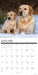 Labs 2027 Square Wall Calendar
