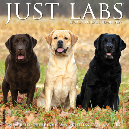 Labs 2027 Square Wall Calendar