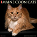 Maine Coon Cats 2027 Square Wall Calendar
