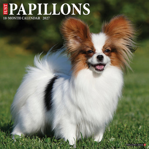 Papillons 2027 Square Wall Calendar
