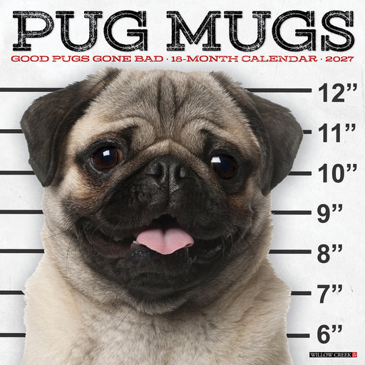 Pug Mugs 2027 Square Wall Calendar
