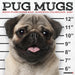 Pug Mugs 2027 Square Wall Calendar