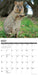 Quokkas 2027 Square Wall Calendar