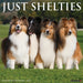 Shelties 2027 Square Wall Calendar