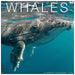 Whales 2027 Square Wall Calendar (Online Exclusive)