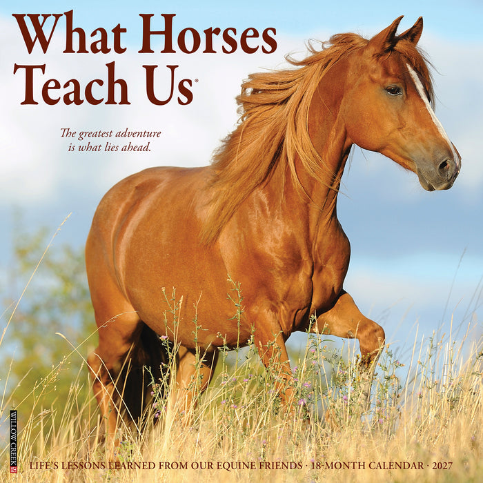 What Horses Teach Us 2027 Square Wall Calendar