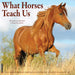 What Horses Teach Us 2027 Square Wall Calendar