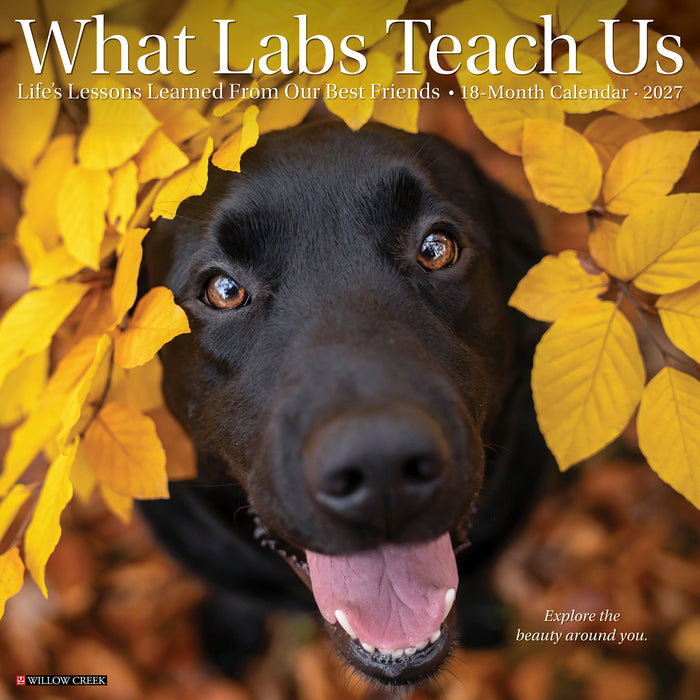 What Labs Teach Us 2027 Square Wall Calendar