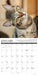 Why Cats Do That 2027 Square Wall Calendar