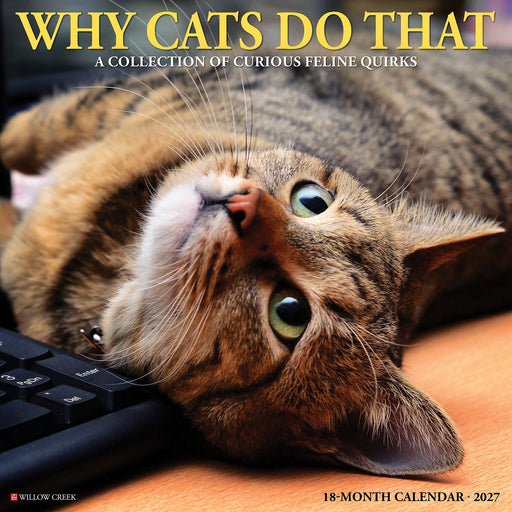 Why Cats Do That 2027 Square Wall Calendar
