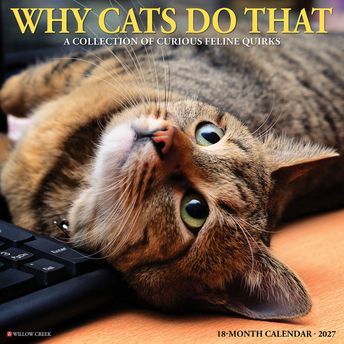 Why Cats Do That 2027 Square Wall Calendar