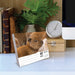 Baby Animals 2027 Page-A-Day Calendar