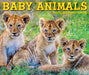 Baby Animals 2027 Page-A-Day Calendar
