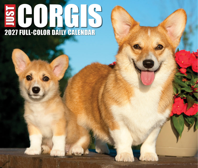 Corgis 2027 Page-A-Day Calendar