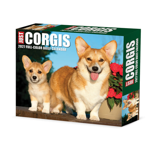Corgis 2027 Page-A-Day Calendar